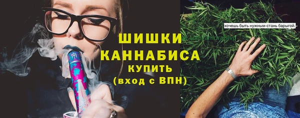 стафф Медвежьегорск